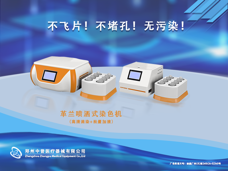 TGPAY - 安全便捷的数字支付解决规划