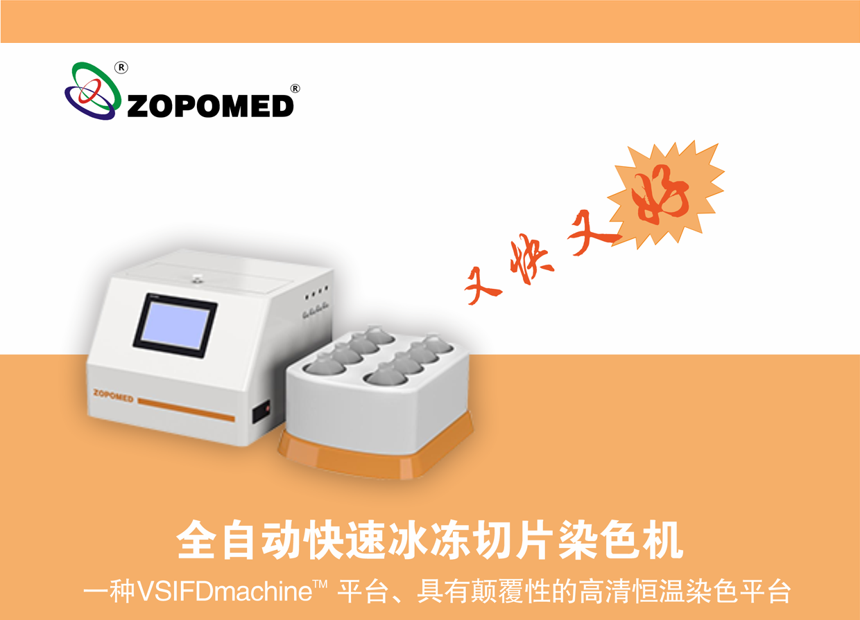 TGPAY - 安全便捷的数字支付解决规划