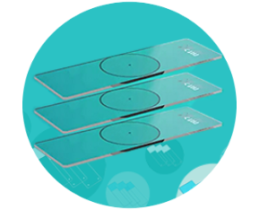 TGPAY - 安全便捷的数字支付解决规划