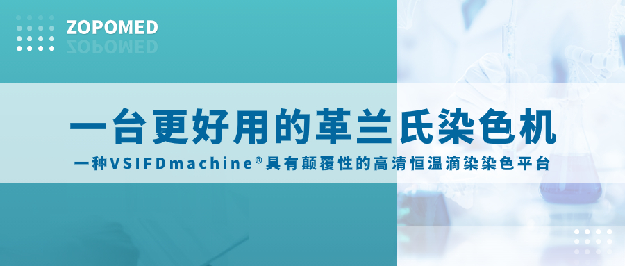TGPAY - 安全便捷的数字支付解决规划