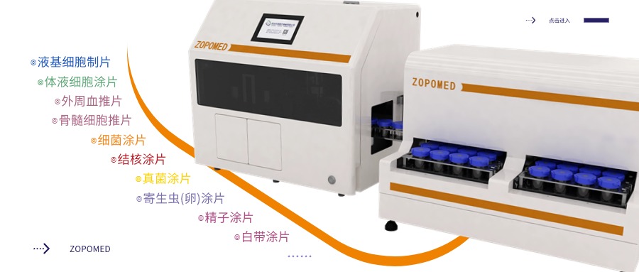 TGPAY - 安全便捷的数字支付解决规划